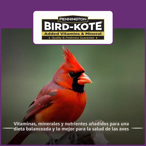 Miniatura 6 de Pennington - Songbird Nut & Fruit - Mezcla de semillas para pájaros silvestres, 10 libras