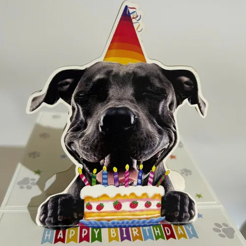Miniatura 3 de Tarjeta de Cumpleaños 3D Pop-Up American Pit Bull Terrier Dog – Lindo perro American Pit Bull Terrier con celebración de pastel, saludo de feliz