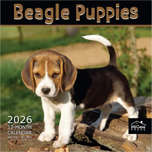 Miniatura 58 de MICASA PRESS Beagles - Calendario de pared 2026 de 12 meses 12 x 24 pulgadas abierto Papel grueso y resistente Regalo Lindo calendario