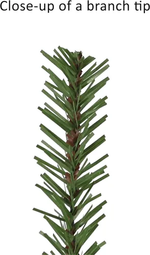 Miniatura 7 de Puleo International Árbol de Navidad artificial alpino preiluminado de 4 pies con 100 luces, color verde