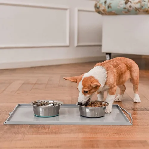 Miniatura 7 de PEGGY11 Cuencos Profundos de Acero Inoxidable Antideslizantes para Perros - Paquete de 2, 2 Tazas