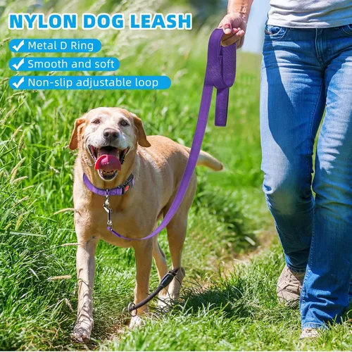 Miniatura 4 de Juego de 6 juegos de correa y collar reflectantes para perro, correas de nailon ajustables, collar de perro resistente, correa de mango acolchado