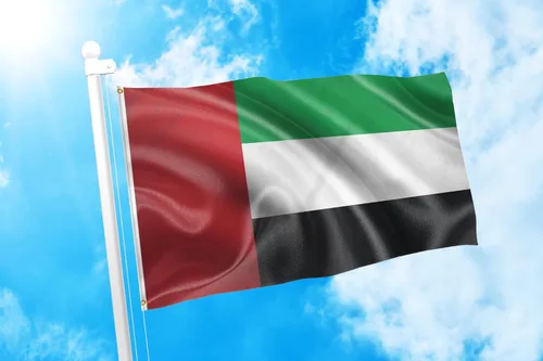 Miniatura 240 de DMSE Bandera de Sierra Leona 3X5 Pies 100% Poliéster Bandera 100D 47-91 x 152 cm