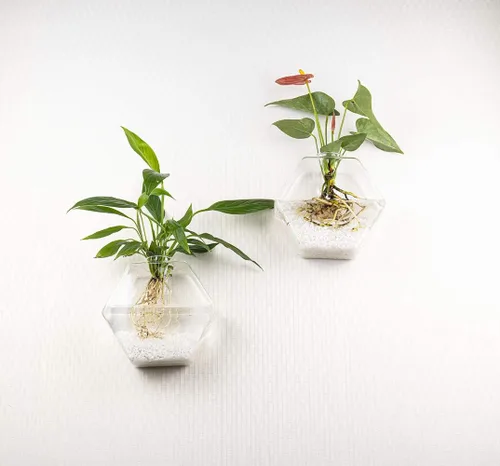 Miniatura 4 de Kingbuy Juego de Macetas Hexagonales de Pared - Paquete de 3 Jarrones de Terrario de Propagación de Vidrio con Soportes Colgantes para Plantas