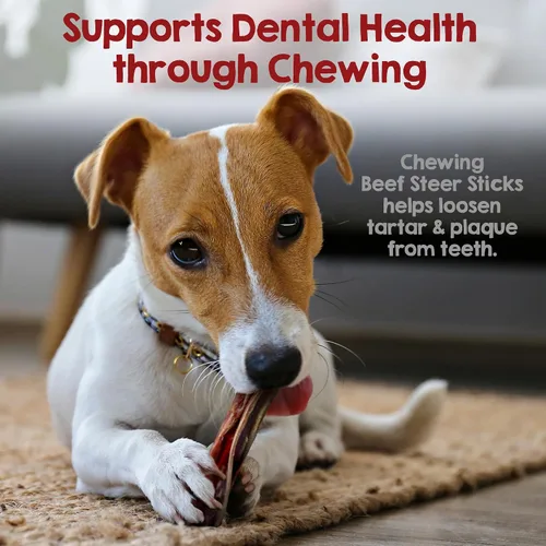 Miniatura 5 de Riley's Steer Bully Sticks para perros pequeños a medianos – Premio para perros de un solo ingrediente, fácilmente digeribles, 100% palitos de carne