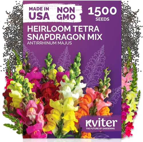 Miniatura 41 de KVITER 1600 semillas de pensamiento de los gigantes suizos para plantar (Viola wittrockiana) - Paquetes de semillas de colores mixtos Flores