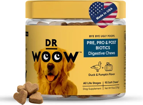Suplementos probióticos para perros masticables suaves (90 unidades) – Apoyo digestivo + equilibrio intestinal y apoyo de heces saludables –