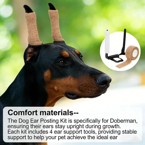 Miniatura 2 de Herramienta de soporte para orejas de perro, kit de publicación de orejas de perro con cinta y 2 barras de corrección fijas verticales