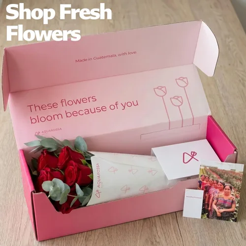 Miniatura 4 de Aquarossa Farms Flores frescas cortadas para entrega, regalos para graduación, cumpleaños, aniversario o simplemente porque - 24 rosas frescas rojas