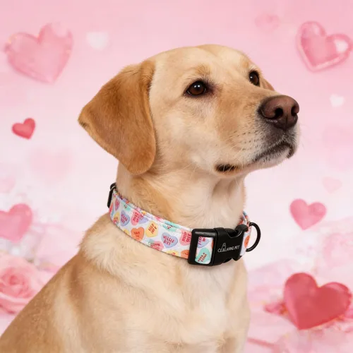 Miniatura 156 de Aring Pet Collar de algodón, lindo, con hebilla de liberación rápida, para bodas, para perros pequeños, medianos y grandes, rosa Terciopelo rosa