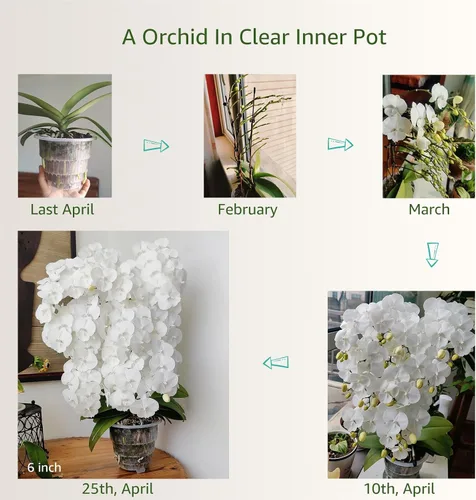 Miniatura 6 de Macetas de orquídeas con agujeros para trasplantar, plástico de doble capa que imita la maceta de orquídea de cerámica que proporciona una buena
