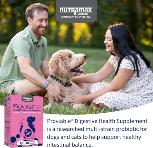 Miniatura 3 de Nutramax Proviable Probióticos para Perros y Gatos, Suplemento Diario para la Salud Digestiva con Múltiples Cepas de Bacterias, Probióticos