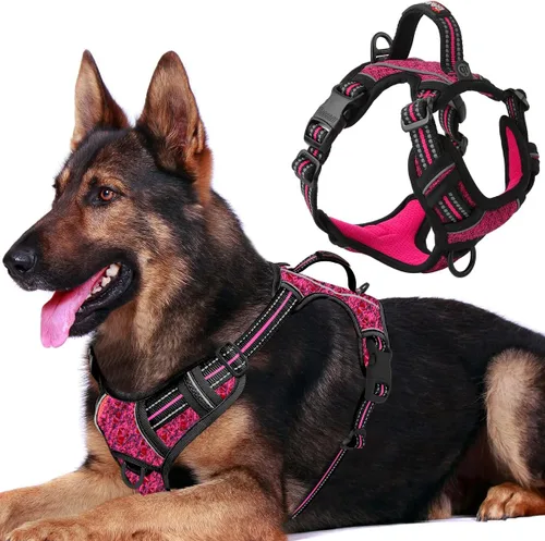 Miniatura 62 de BARKBAY Arnés para perro sin tirones con bolsillo para etiqueta de identificación, resistente, reflectante, fácil control para perros grandes