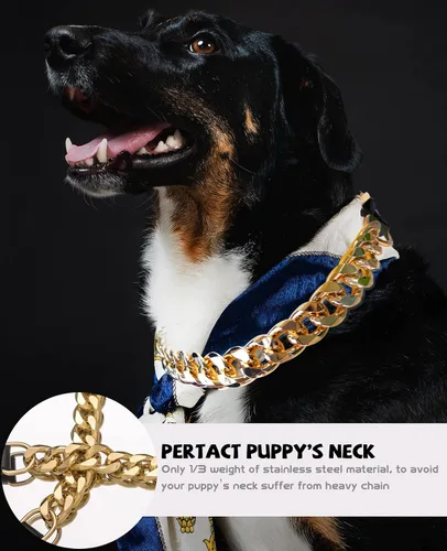 Miniatura 4 de Collar de perro de cadena dorada – Collar de perro de eslabones cubanos de metal de 7/8 pulgadas de ancho con cinturón de cuero, ligero protege