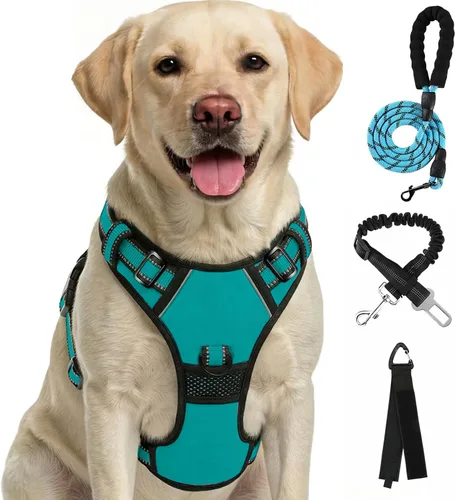 Miniatura 9 de FURRYFECTION Arnés a cuadros para perros pequeños, chaleco reflectante ajustable sin tirones para mascotas con clip frontal, correa, asa de fácil