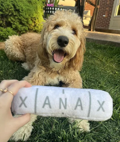 Miniatura 4 de Nestpark Chill Pup - Juguete divertido para perro, juguete de peluche parodia chirriante y arrugado para perros