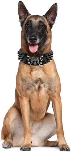 Miniatura 4 de Collar de perro con tachuelas, collar de perro de cuero con pinchos de 2 pulgadas para perros medianos y grandes Pit Bull Mastiff Bully Boxer