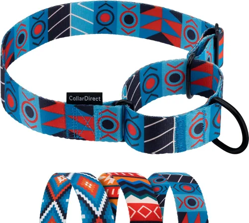 Miniatura 13 de CollarDirect Martingale - Collar de nailon resistente para perros pequeños, medianos y grandes [nailon, estampado, aguamarina, L, 15-20 pulgadas)