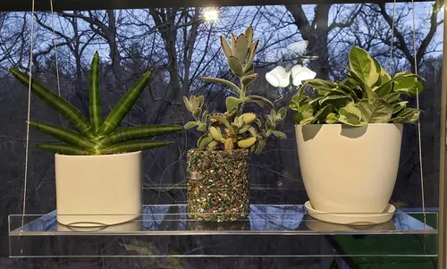 Miniatura 5 de Estantes colgantes de acrílico para ventanas (34 pulgadas de ancho, 2 estantes - 35 pulgadas de alto)