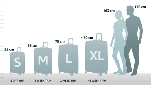 Miniatura 2 de Samsonite Bolsa de lona con 2 ruedas L (31.1 in-121.5 L), Negro, Negro