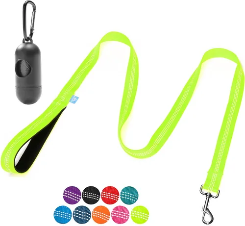 BAAPET Correa de nailon para perro de 5 pies con triple hilos reflectantes y cómodo mango acolchado para caminar, entrenar cachorros pequeños, Verde