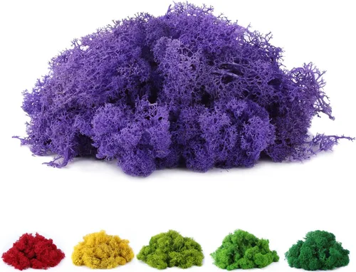 Musgo de reno preservado de musgo falso de 3.5 onzas para plantas en maceta, artes y manualidades, terrarios, decoración de pared, centros de mesa,