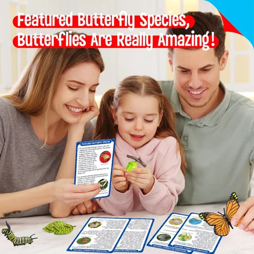 Miniatura 5 de 15 tarjetas de mariposa con 4 figuras de plástico, tarjetas de introducción de mariposas, insectos, huevo a mariposa, kit de juguete para niños