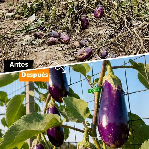 Miniatura 6 de 100 piezas de clips para tomate para plantas trepadoras, clips de soporte de planta de enrejado de plástico para jardín, clips reutilizables