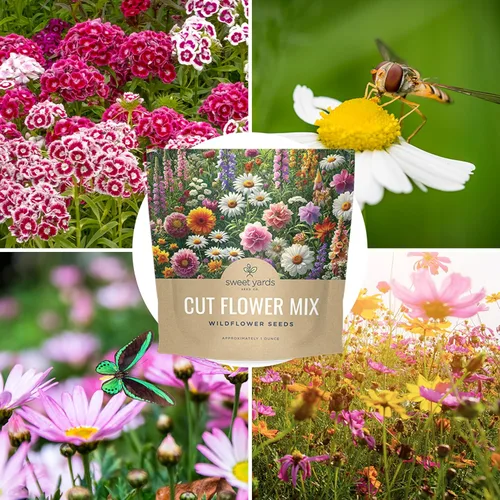 Miniatura 9 de Cut Flower Garden Seeds – Paquete extra grande de 1 onza – Más de 7,500 semillas frescas de flores silvestres polinizadas abiertas sin OMG – Anuales