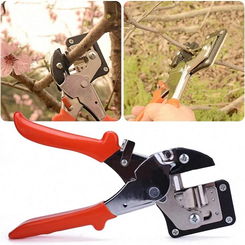 Fruit Tree Pro Grabado Acero al Carbono Tijera De Poda De Injerto De Corte Herramientas De Jardín