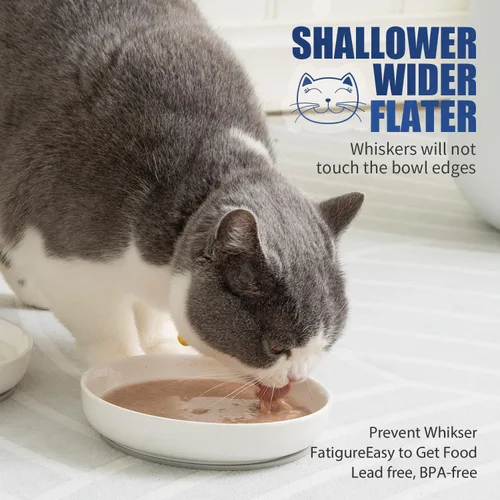 Miniatura 9 de Lusifaco - Cuencos poco profundos para comida de gato, tazón de cerámica de 5.9 pulgadas de ancho para gatos de interior, juego de platos para gatos