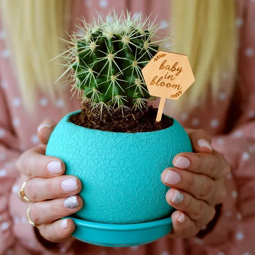Miniatura 5 de Parbee - Etiquetas hexagonales «Baby in Bloom» ecuerdos de baby shower, 20 etiquetas para suculentas, regalos de madera, estacas para jardín
