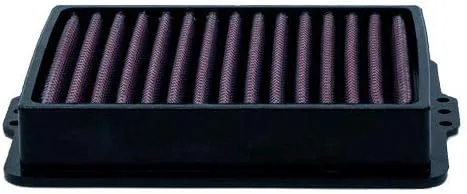 Miniatura 3 de Filtro de aire de alto rendimiento DNA compatible con F 850 GS (16-21) PN: P-BM8E20-01