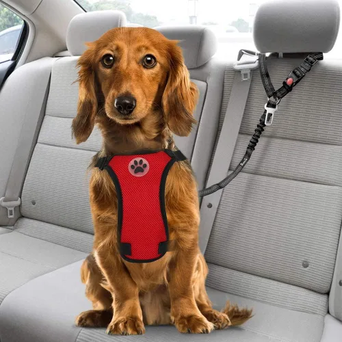 Miniatura 7 de SlowTon Cinturón de seguridad para perro para automóvil, paquete de 2 cinturones de seguridad ajustables con amortiguador elástico elástico, 2 en 1