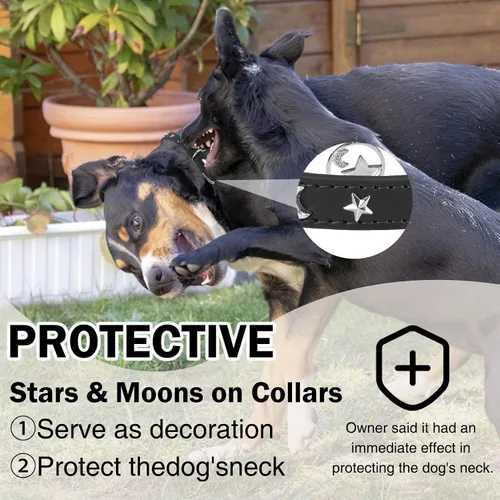 Miniatura 2 de Collar de cuero para perros pequeños, collar suave y ajustable con remaches de estrella y luna para perros machos y hembras, collares para cachorros