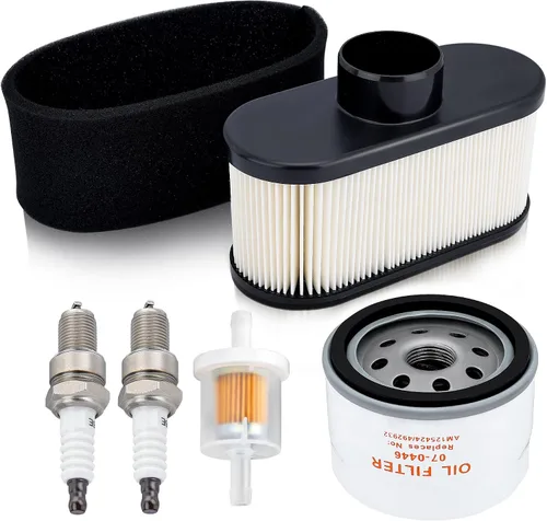 FR691V FR730V Kit de Afinación Kit de Cambio de Aceite para Kawasaki FR651V FR730V FS481V FS541V FS600V FS651V FS691V FS730V Motor Reemplaza
