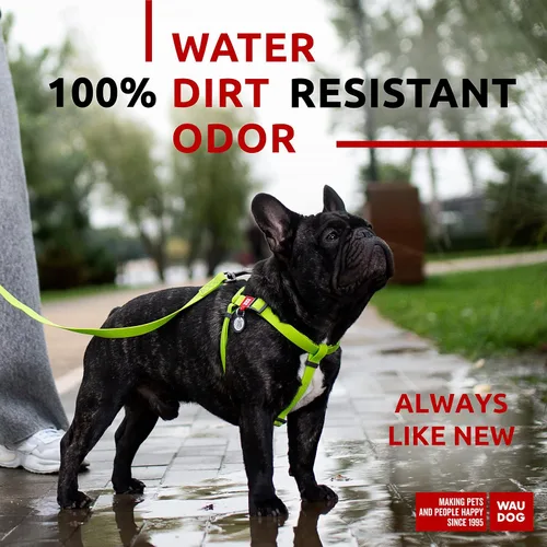 Miniatura 2 de WAUDOG Arnés impermeable para perro resistente, ajustable para perros grandes, pequeños y medianos, cierres de metal duraderos, placa para perro QR