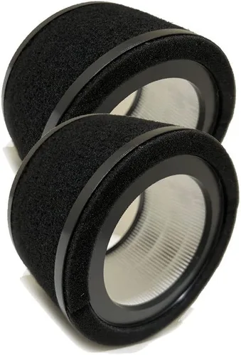 Nispira Filtro de repuesto L True HEPA + prefiltro de carbón activado compatible con purificador de aire GermGuardian AC4200W FLT4200, 2 paquetes