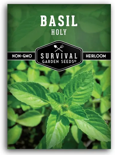 Survival Garden Seeds - Semilla de Albahaca Sagrada para plantar - 1 paquete con instrucciones para plantar y cultivar la hierba sagrada india Tulsi