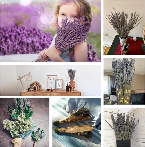 Miniatura 3 de Paquetes de Lavanda Seca, Uieke Flores de Lavanda Seca Natural 280-300 Tallos 16" para Decoración de Bodas en el Hogar Arreglos Florales Accesorios