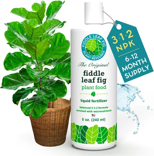 Miniatura 8 de Fiddle Leaf Fig Plant Food – Fertilizante líquido equilibrado NPK 3-1-2 para hojas más grandes, raíces más fuertes y crecimiento constante