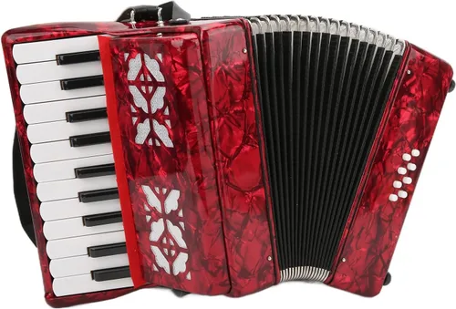 Acordeón de piano de bajo de 22 teclas y 8 teclas para principiantes, instrumento musical educativo profesional con correa retráctil para 43.3-55.1