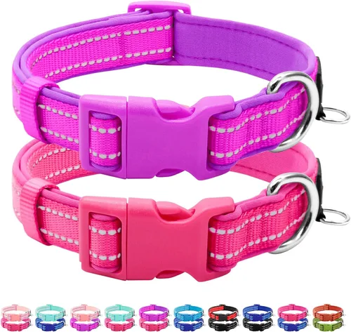 azuza Paquete de 2 collares acolchados de neopreno para perros pequeños, collar reflectante con anillo para identificación con etiqueta de