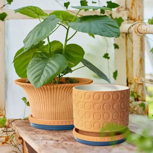 Miniatura 7 de YBX Platillo para Plantas de 8 Pulgadas Premium Platillo de Terracota Redondo Bandejas Cerámicas para Plantas, Paquete de 2 (Azul Marino/Terracota)