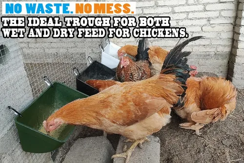 Miniatura 3 de Comedero de pollo, comedero de cabra – Paquete de 2, 5.5 cuartos de galón, para cabras, pollos, patos, ovejas, lechones, ciervos, gansos, pavos