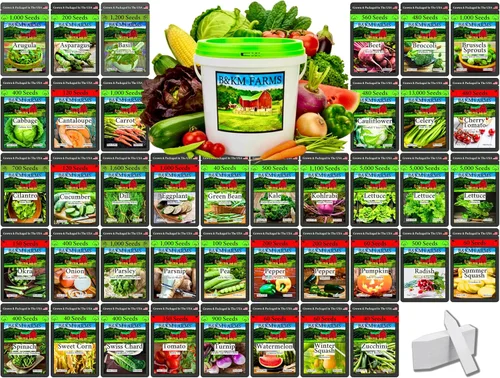 B&KM Farms Más de 25,000 bóvedas de semillas de verduras tradicionales – 40 variedades sin OMG para jardinería doméstica y seguridad alimentaria –