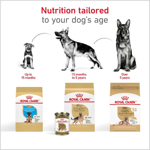 Miniatura 6 de Royal Canin Alimento Seco para Cachorros de Pastor Alemán Específico para la Raza, bolsa de 30 lb