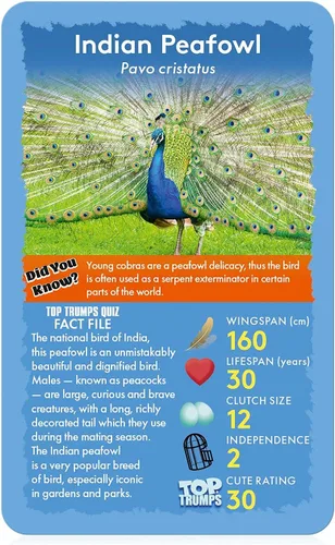 Miniatura 4 de Top Trumps Birds of the World Classics - Juego de cartas para descubrir algunos datos interesantes en este juego educativo lleno que incluye
