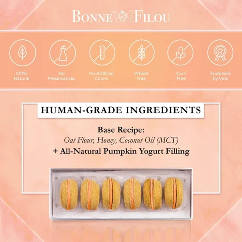 Miniatura 2 de Bonne et Filou Golosinas para perros, pasteles de calabaza, regalo de cumpleaños para perros de raza mediana a grande – Pasteles de macarrón