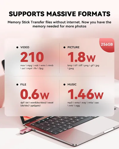 Miniatura 7 de Memoria USB para Fotos de iPhone de 256GB con Certificación MFi, Unidad Flash USB para Respaldo de Fotos/Videos, Memoria USB de Alta Velocidad Rosa